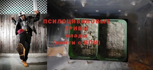 бошки Алзамай
