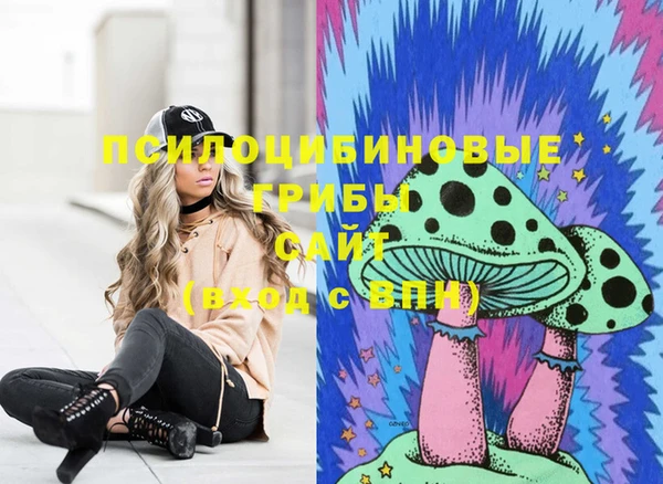 бошки Алзамай